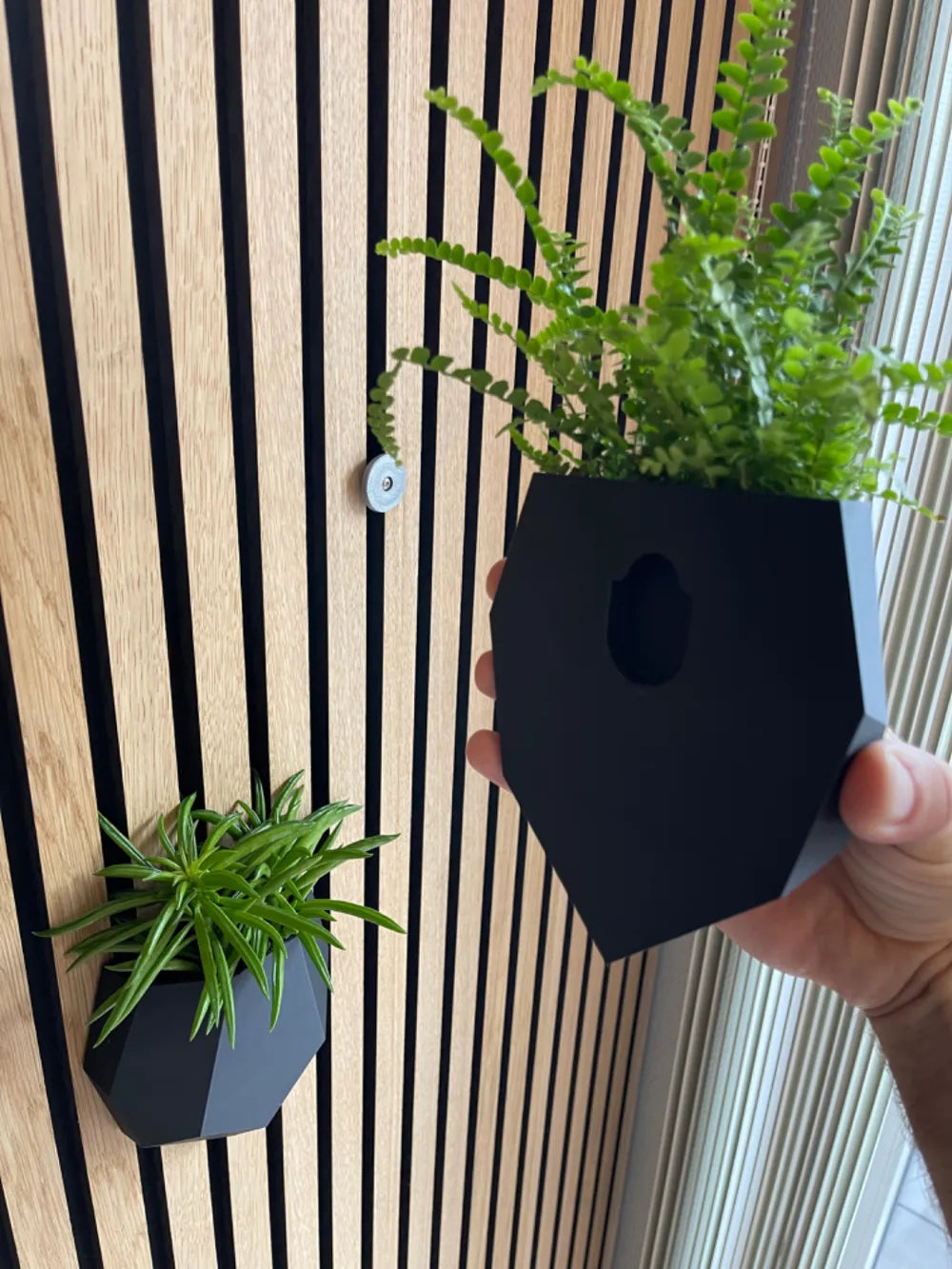 Self-Watering Wall Vase for Acoustic Panels – 3D Printed Smart Planter