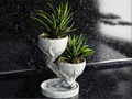 Double Tree Pot