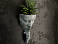 Woman Wall Flower Pot 2