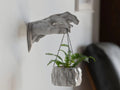 Wall Hand Flower Pot