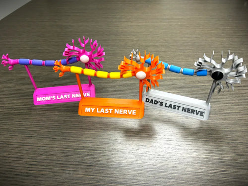 Articulated Neuron Desk Model – 3D Printed My Last Nerve Science Gift