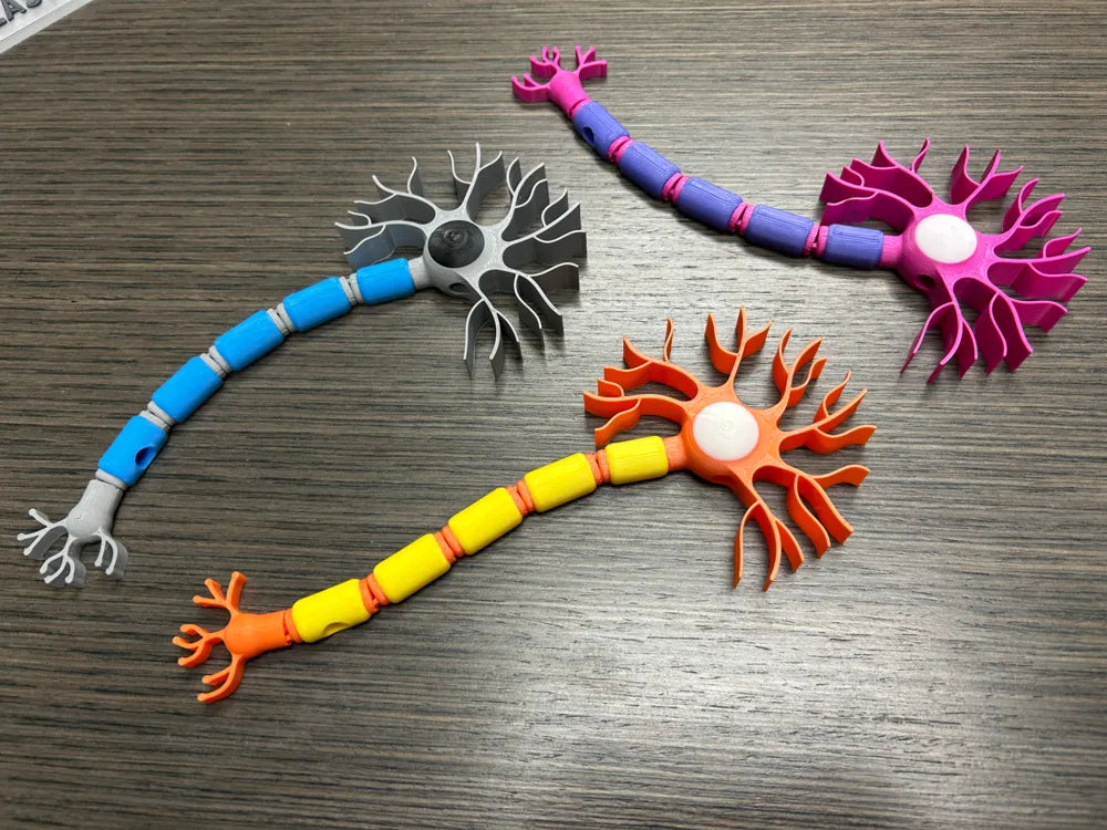 Articulated Neuron – My Last Nerve Desk Model