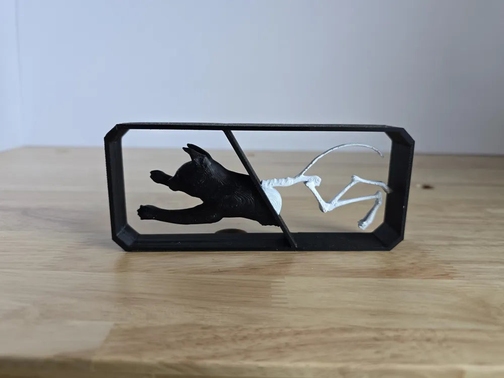 Schrodinger's Cat Collectible – 3D Printed Quantum Physics Nerd Gift