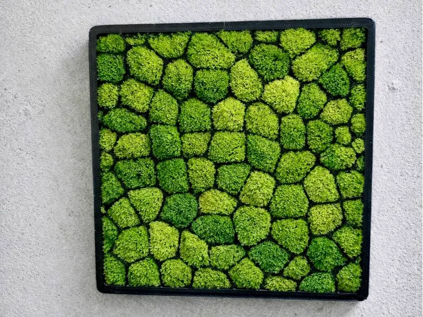 Moss Wall Frame – 3D Printed Botanical Forest Green Decorative Frame