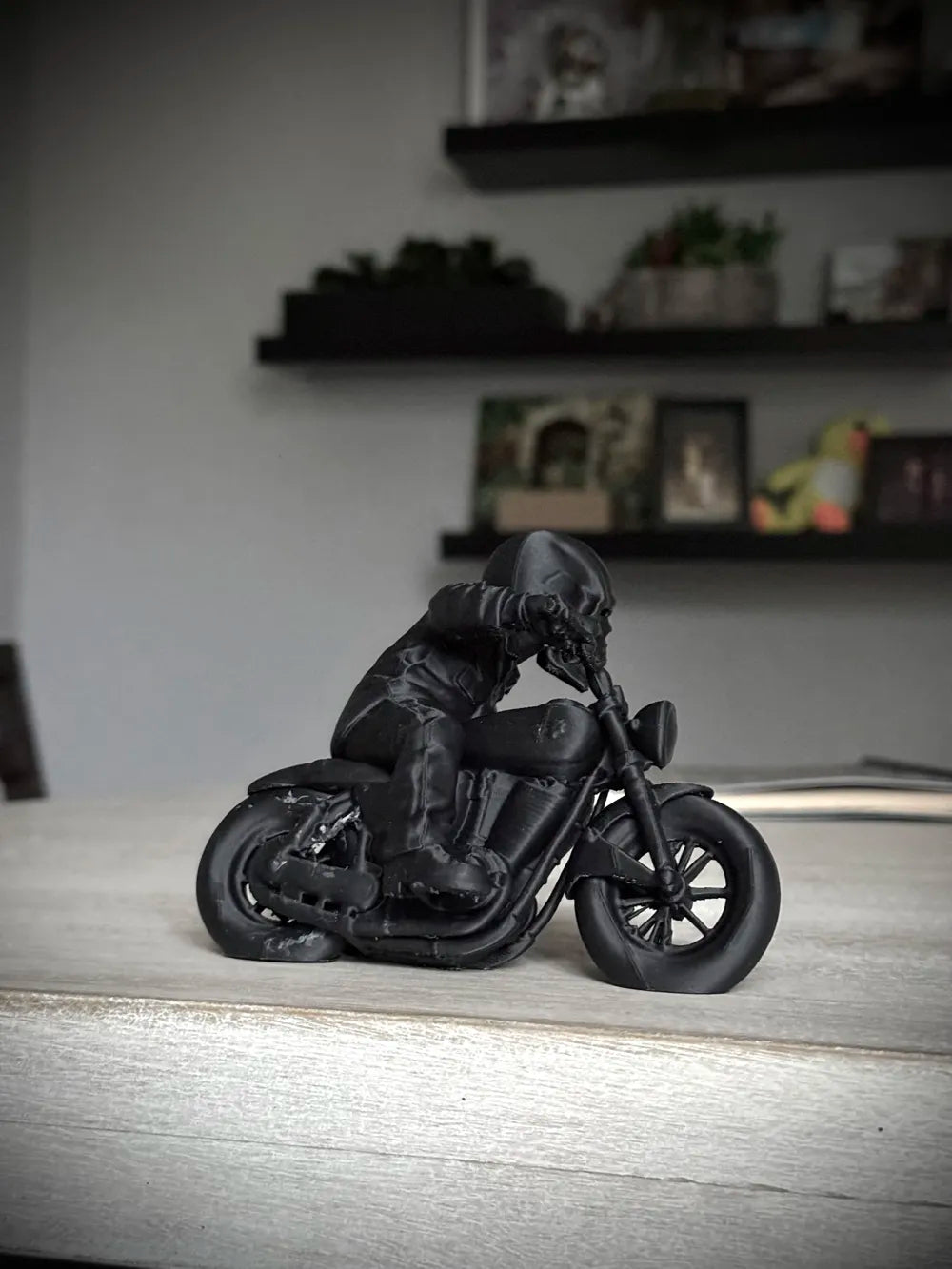 Ledge SkulZ - Motorcycle Riding Skull