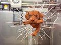 The Unstoppable Dog Collectible – 3D Printed Bold Dog Character Figurine