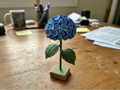 Hydrangea Flower