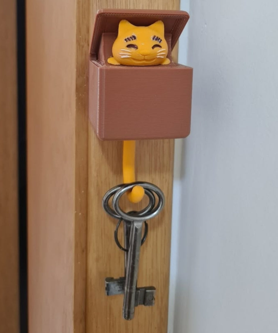 Single key holder