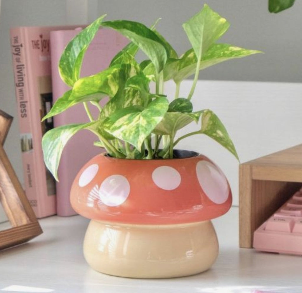 Mushroom shaped planter pot