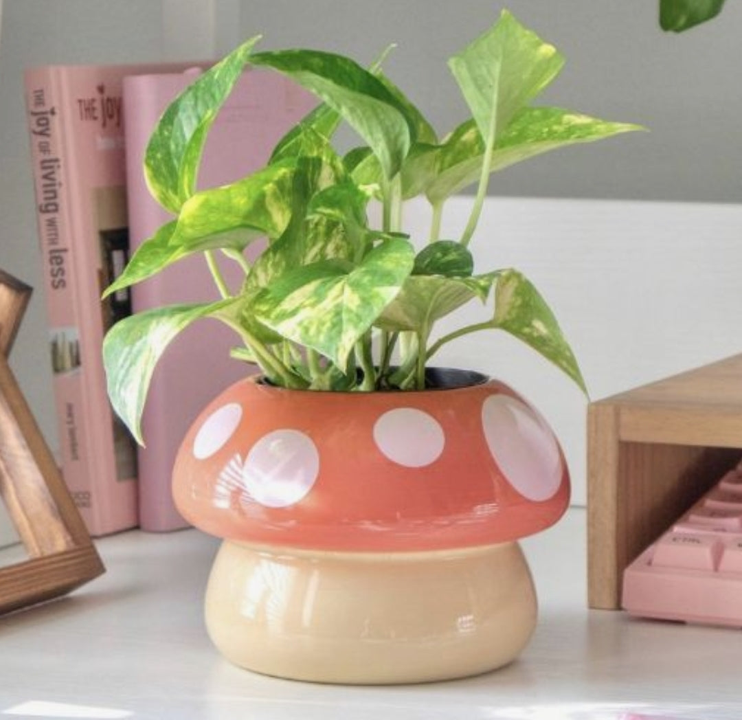Mushroom shaped planter pot