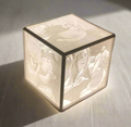 Custom Photo Lithophane – 3D Printed Memory Night Light