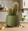 Planter pot