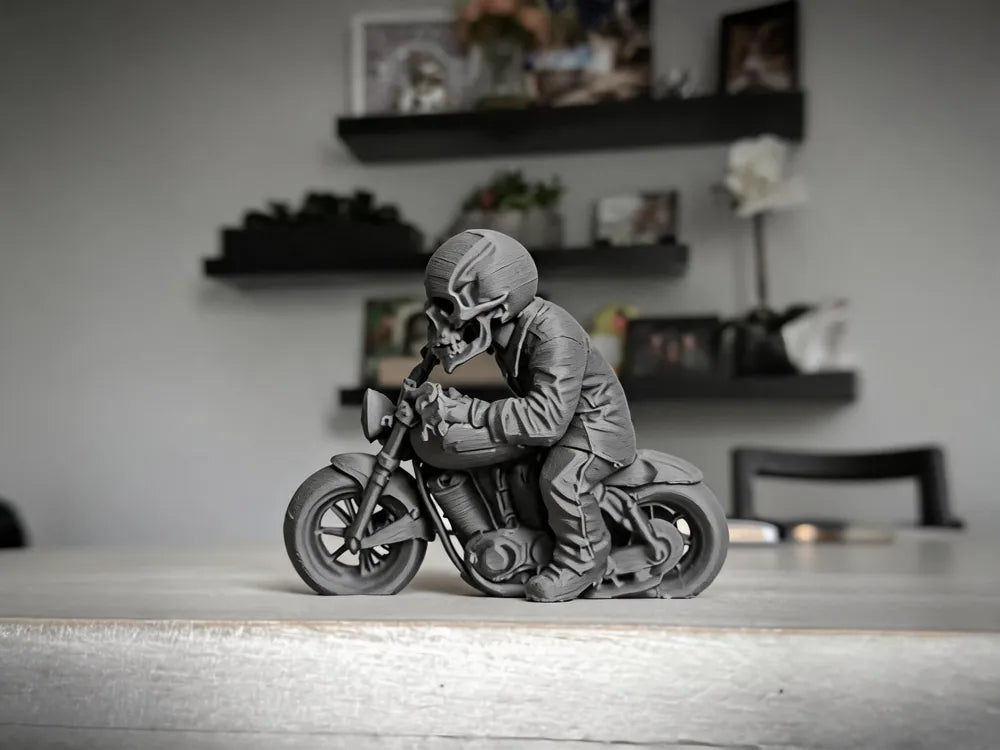 Ledge SkulZ - Motorcycle Riding Skull